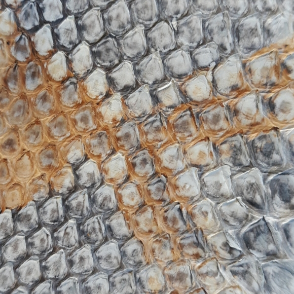 Python card case - Picture 5 of 6